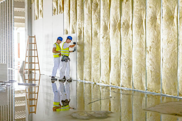 Best Blown-in Insulation in Lake Mohawk, NJ